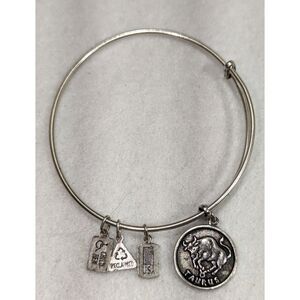 Unisex Wind & Fire Taurus Wire Charm Bracelet